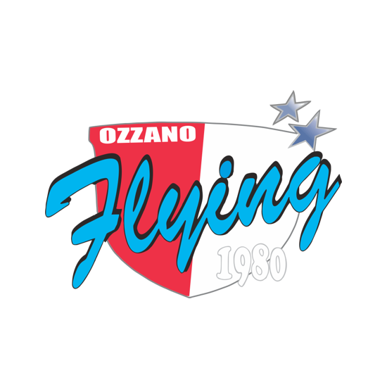 logo-flying